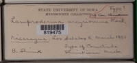 Image Associated With the Occurence